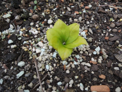 DSCN0119_1409.JPG