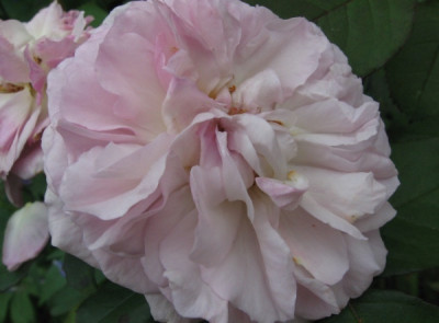 new_Florance_Delatre_sept.jpg