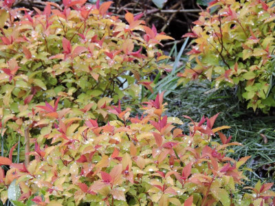 DSCN3667.JPG