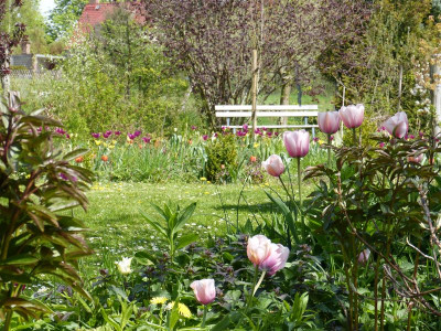 2016-05-01 Garteneinblick 1.jpg