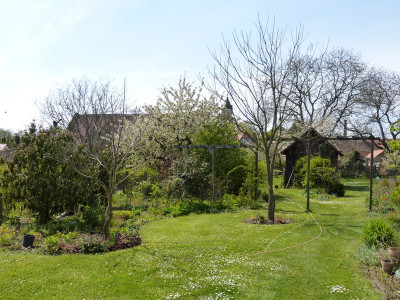 2016-05-01 Garteneinblick 4.jpg