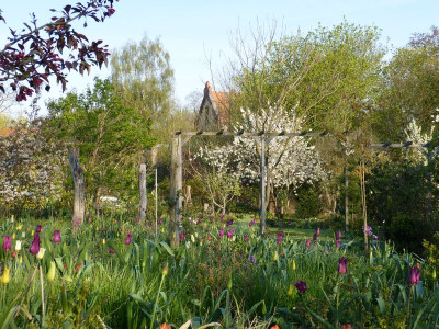 2016-05-01 Garteneinblick 5.jpg