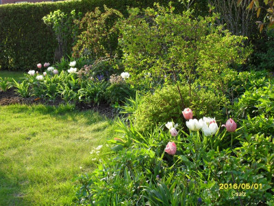 Abendlicht0516.jpg
