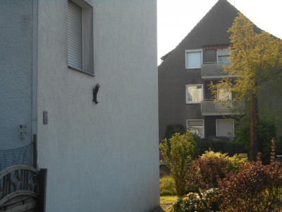 DSCN0937.JPG