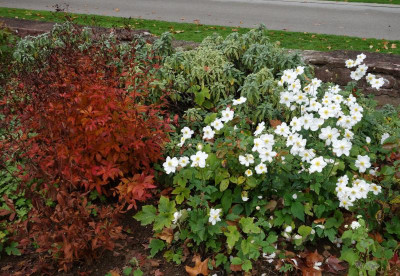 Schlossbogen-rechts.15-4.jpg