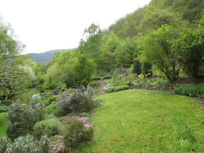 Sammelgarten 20160503.jpg