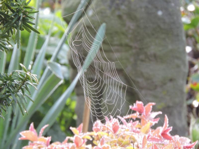 DSCN3690.JPG