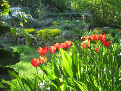 Staudenbeet 20160502.jpg
