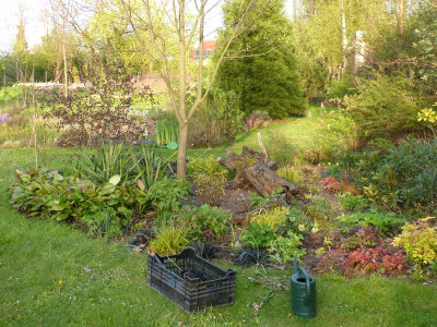 2016-05-04 Garteneinblick 1.jpg