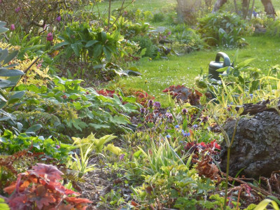 2016-05-04 Gartenimpressionen 1.jpg