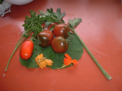 Stilleben_mit_Tomaten.jpg