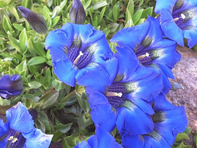 20160505_175622.jpg