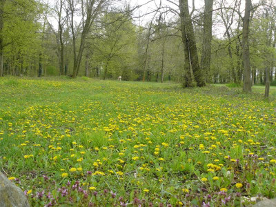 P1180870.JPG