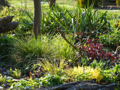 2016-05-05 Gartenimpressionen 6.jpg