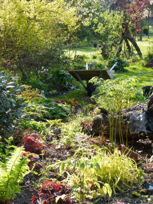 2016-05-05 Gartenimpressionen 7.jpg
