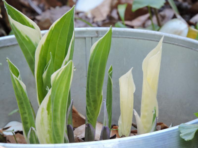 DSCN3784.JPG