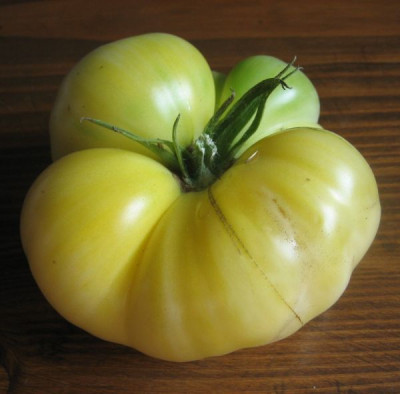 Tomate_White_Princess_fragl._34141.jpg