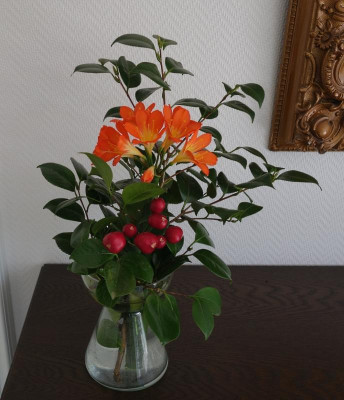 Klivienblüte i. d. Vase 8.5.2016.jpg