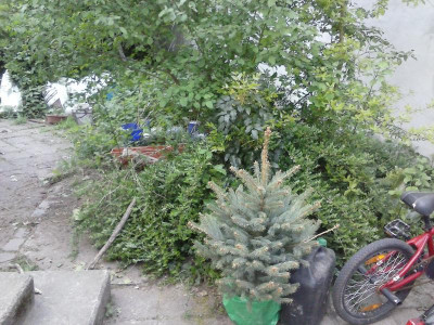 CAM00657.jpg