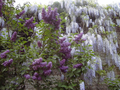 PICT1094.JPG