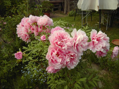PICT1085.JPG