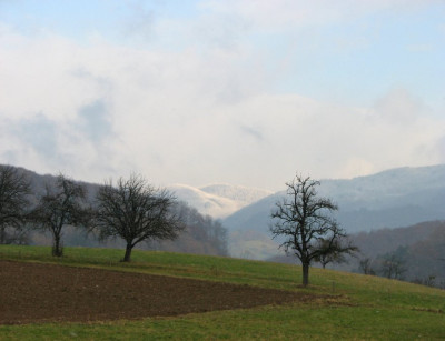 BAUME_I_DO_151107.jpg