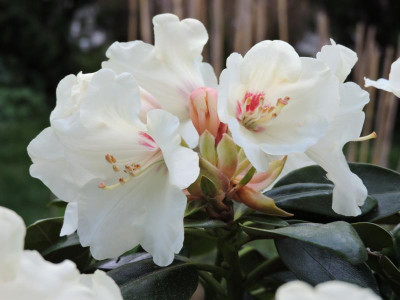 DSCN3848.JPG
