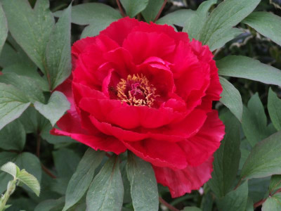 DSCF2951.JPG