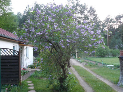 P1190003.JPG