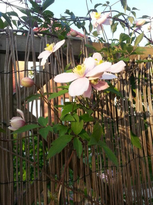 20160511_190833.jpg