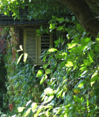 IMG_4983sommerhaus.jpg