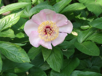 DSCF2980.JPG