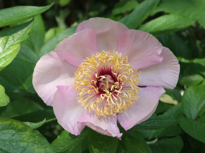 DSCF2981.JPG