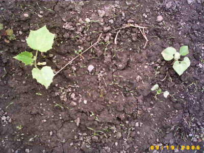 2006_0919Bild0005.JPG