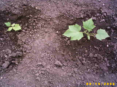 2006_0919Bild0006.JPG
