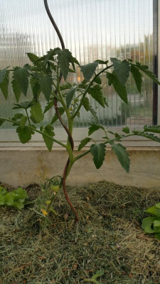 20160513_202843.jpg
