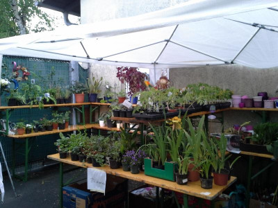 20160514_075344.jpg