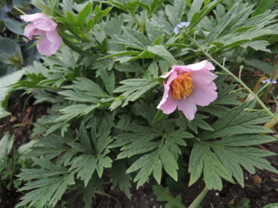 DSCN0341_1467.JPG