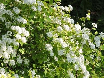 DSCN3933.JPG