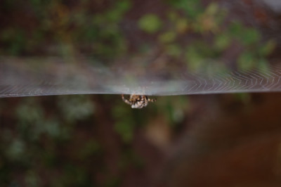 DSC_0014_95.jpg