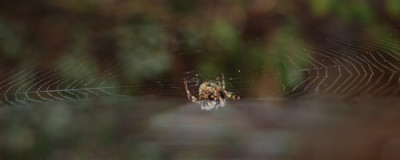 DSC_0015_95.jpg