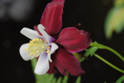 mai 033.jpg