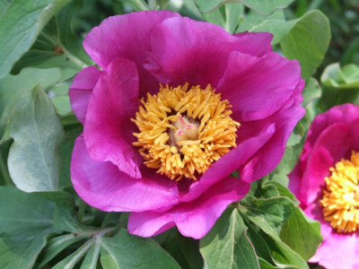 DSCF2983.JPG