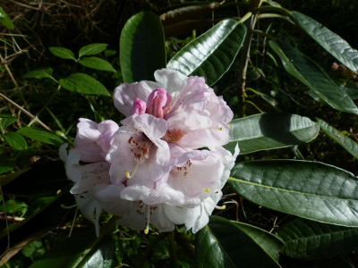 P1010565.JPG