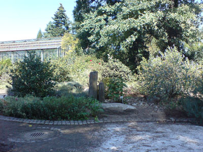 kolner_flora_duftgarten_7.JPG