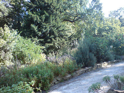 kolner_flora_duftgarten_6.JPG
