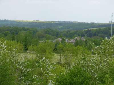 2016-05-14 Tharandt 2.jpg