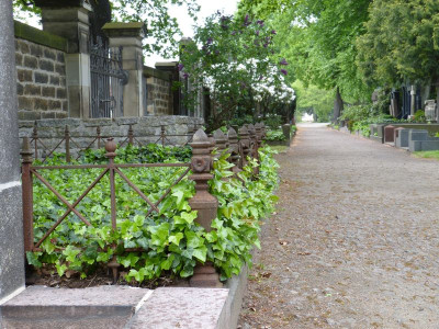 2016-05-14 Treffen Dresden - Johannisfriedhof 3.jpg