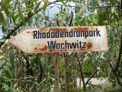 2016-05-14 Treffen Dresden Rhododendronpark Wachwitz 0.jpg