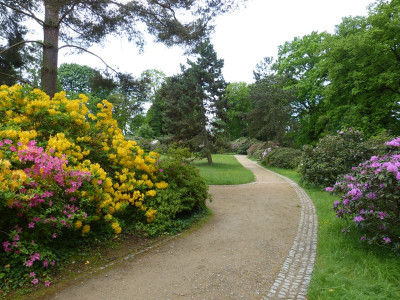 2016-05-14 Treffen Dresden Rhododendronpark Wachwitz 2.jpg